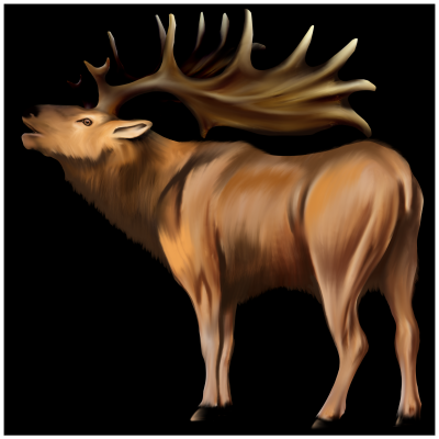 Isril Elk